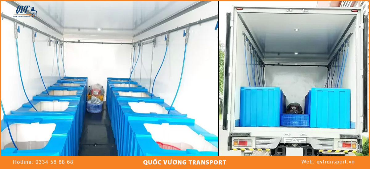 Lưu ý vận chuyển thuỷ sản đi TP.HCM tươi sống