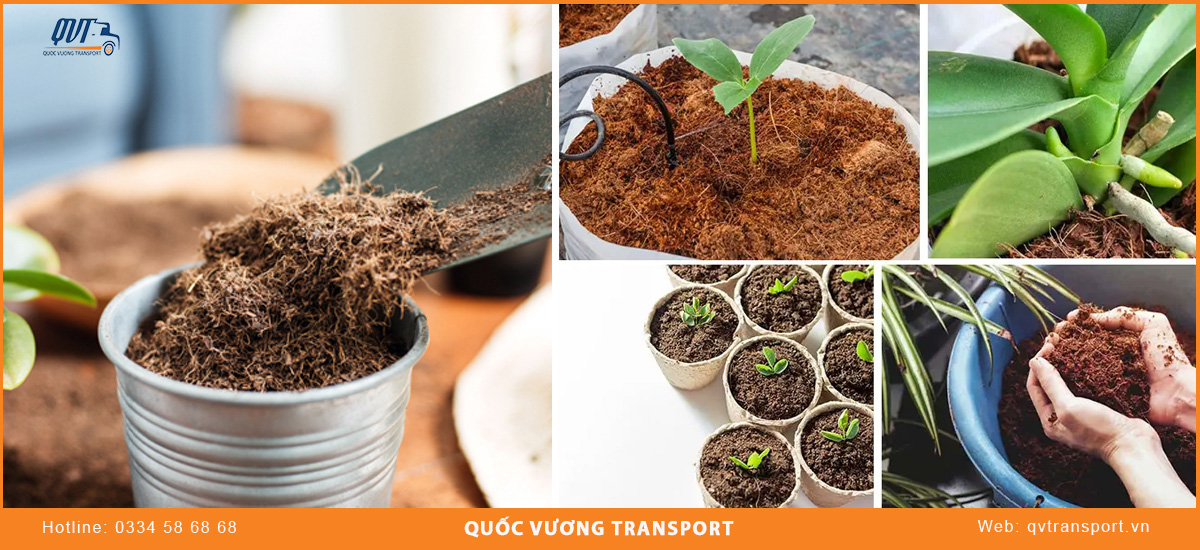 Cách vận chuyển mụn xơ dừa hiệu quả, an toàn